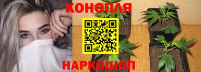 метадон Можга