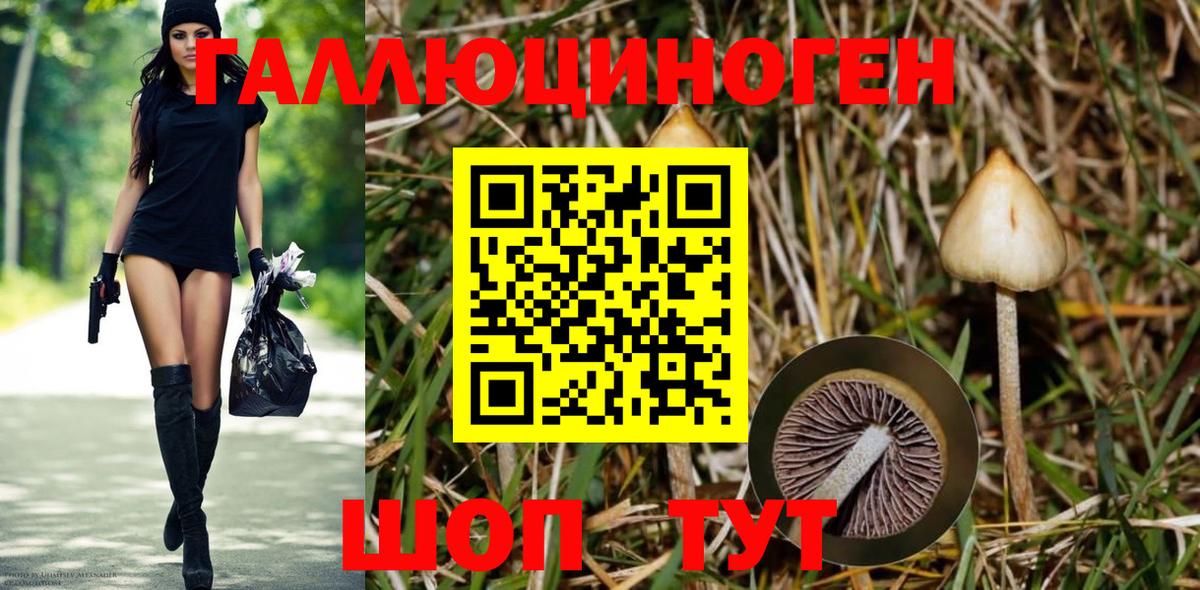 наркотики  Псилоцибиновые грибы MAGIC MUSHROOMS  Вход с VPN  Туапсе 