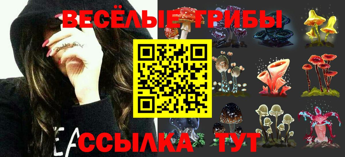 Галлюциногенные грибы мицелий Туапсе